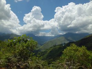 Peru Chanta Washed SHB Origin of the Month for Convoy Road Coffee Roasters Origin for June